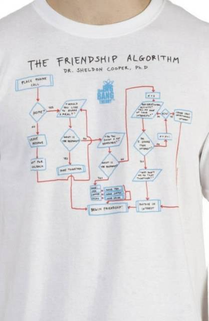 Big Bang Theory Shirt Friendship Algorithm