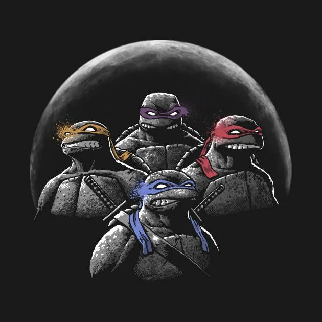 NIGHT OF THE NINJAS