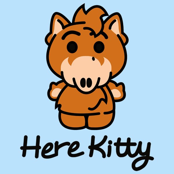 Here Kitty