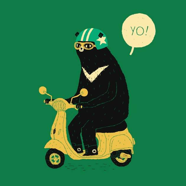 SCOOTER BEAR