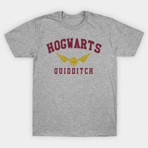 Hogwarts Quidditch