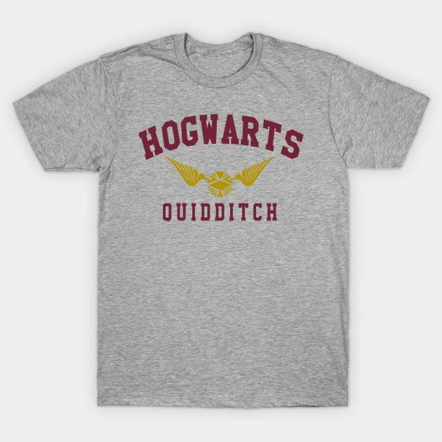 Hogwarts Quidditch