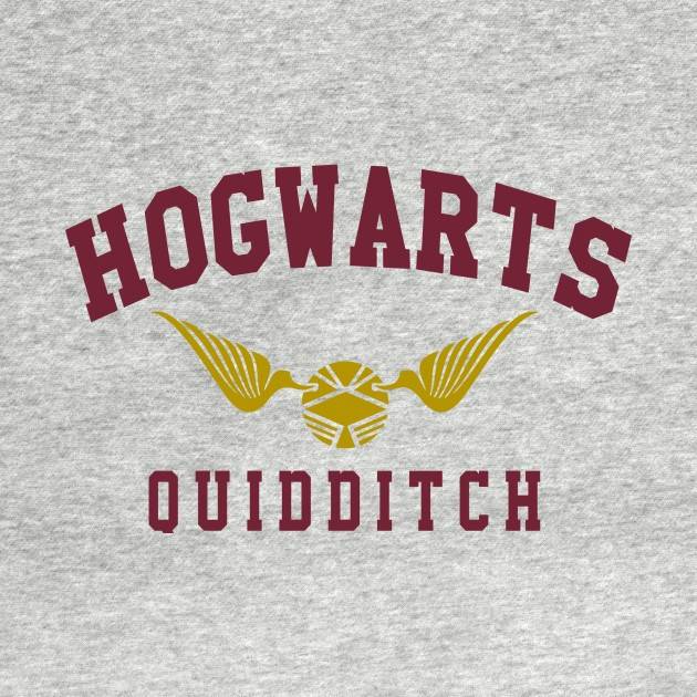 Hogwarts Quidditch