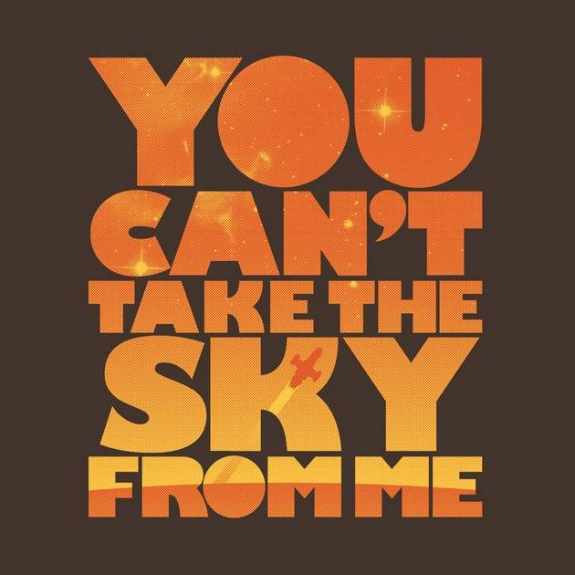YOU CAN'T TAKE THE SKY