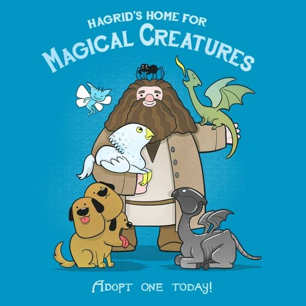 HAGRID'S HOME FOR MAGICAL CREATURES