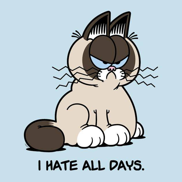 ALWAYS GRUMPY