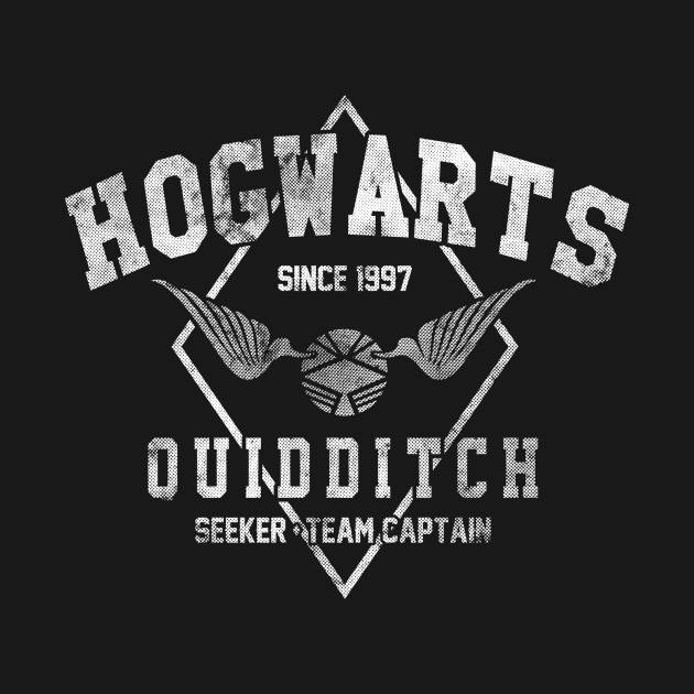 Hogwarts Quidditch (v.2)
