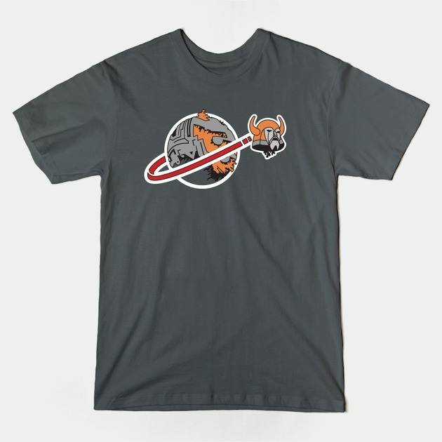 CYBERTRONIAN SPACE PROGRAM