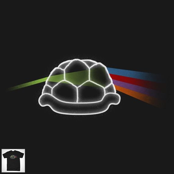 DARK SIDE OF THE SHELL