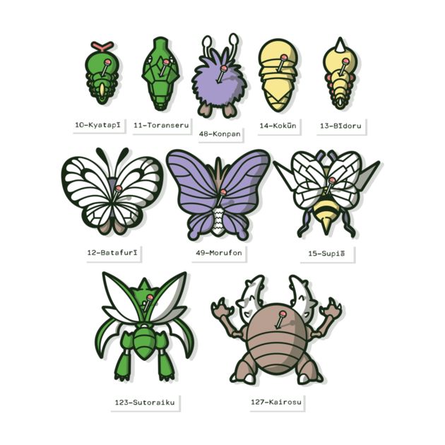 BUG COLLECTION Design BUG COLLECTION