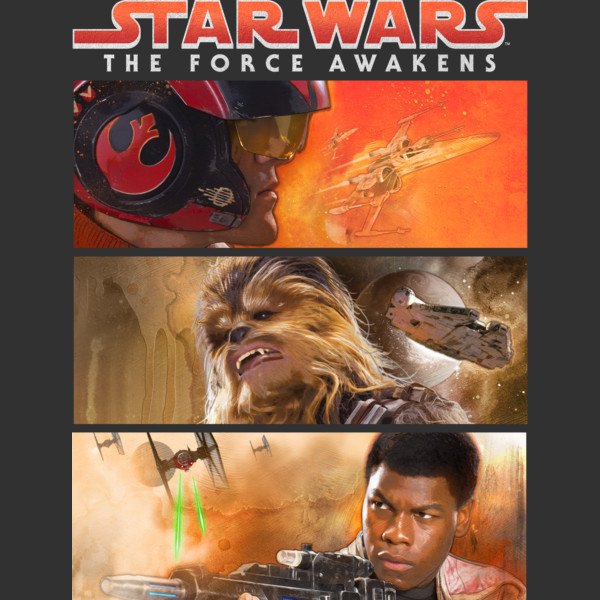 Resistance Framed Design Resistance Framed