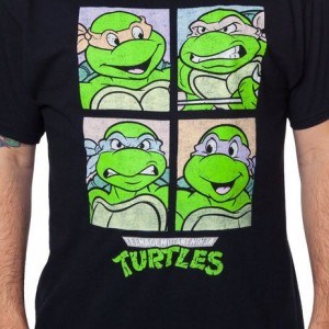 TMNT Box Turtles