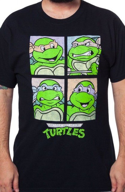 TMNT Box Turtles