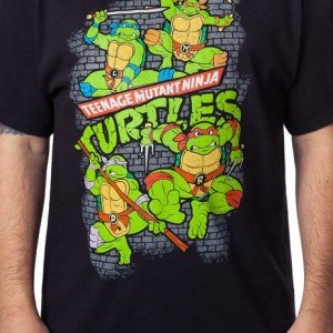 TMNT Fearsome Fighting Team