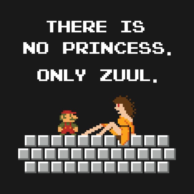 THERE IS NO PRINCESS