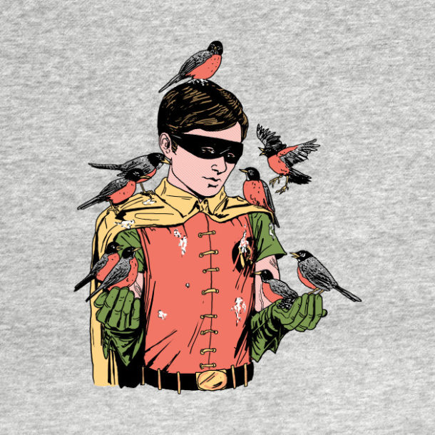 Crazy Bird Lady - DC Comics Robin T-Shirt - The Shirt List
