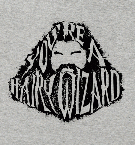You're A Hairy Wizard Design You're A Hairy Wizard
