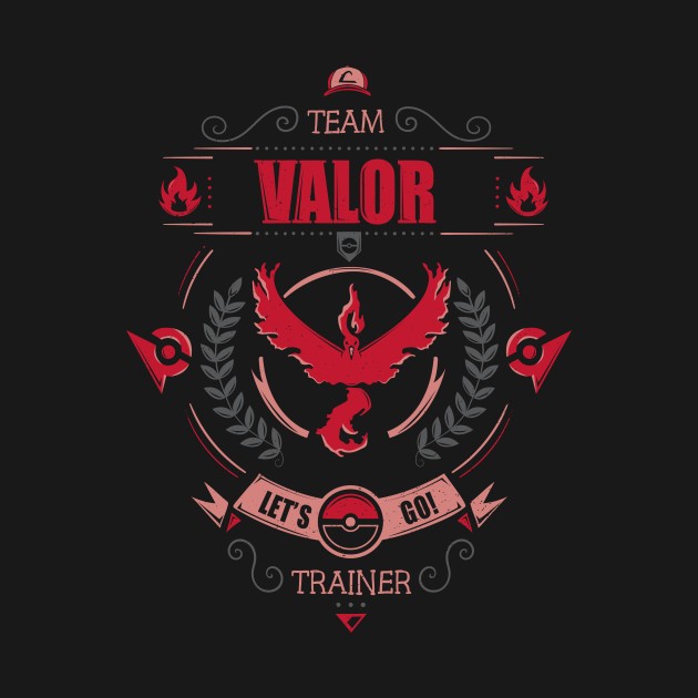 LET'S GO! TEAM VALOR