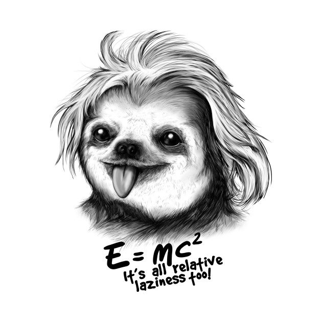 SLOTH EINSTEIN