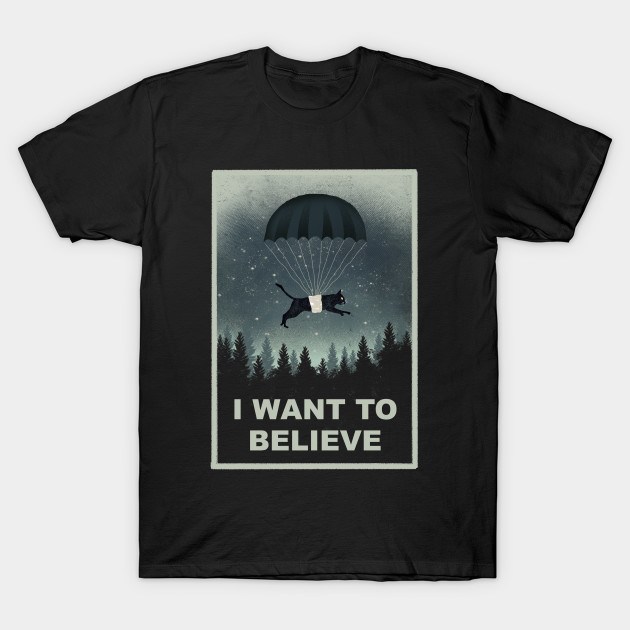 I WANT TO BELIEVE