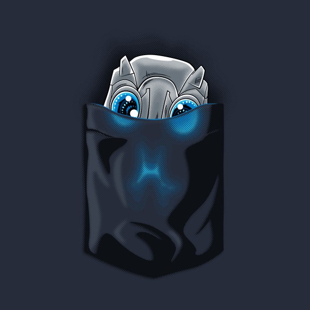 Pocket Echo Design Pocket Echo