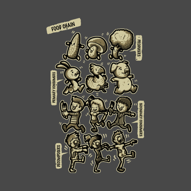 Food Chain Design Food Chain