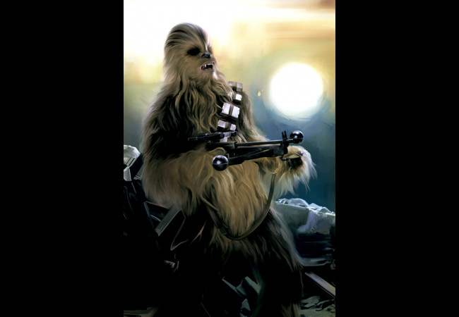 Wookiee Warrior Design Wookiee Warrior