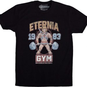 MOTU Eternia Gym