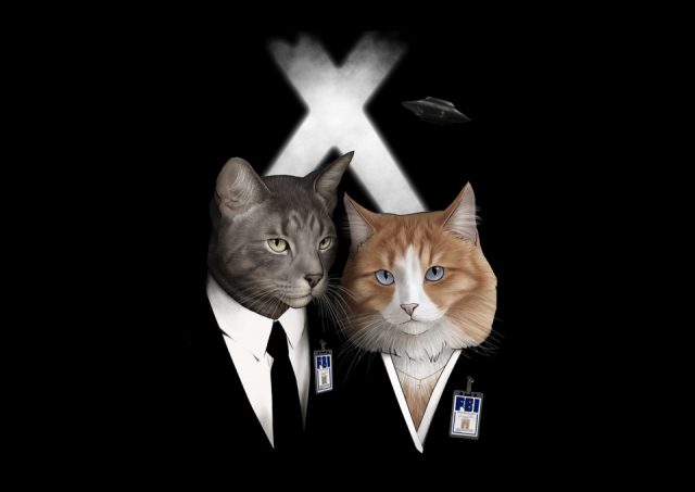 The Truth is Meowt There