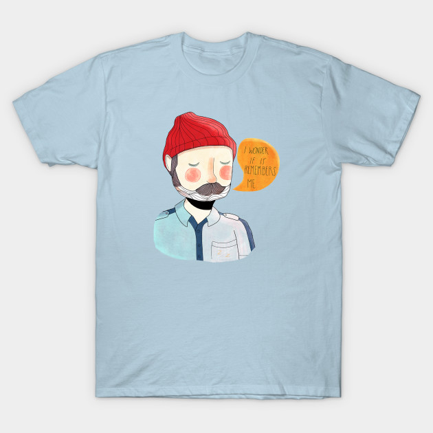 I Wonder If It Remembers Me