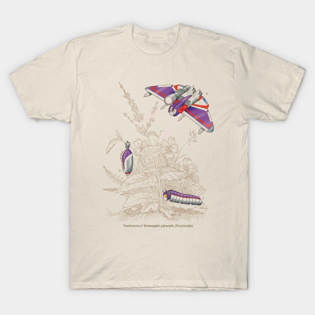 Natural Transformation