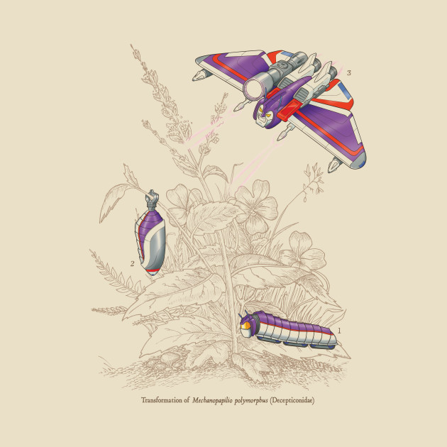 Natural Transformation Natural Transformation