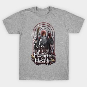 Lord of Magnetisn and Wizardry