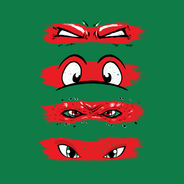 Turtles Through Time