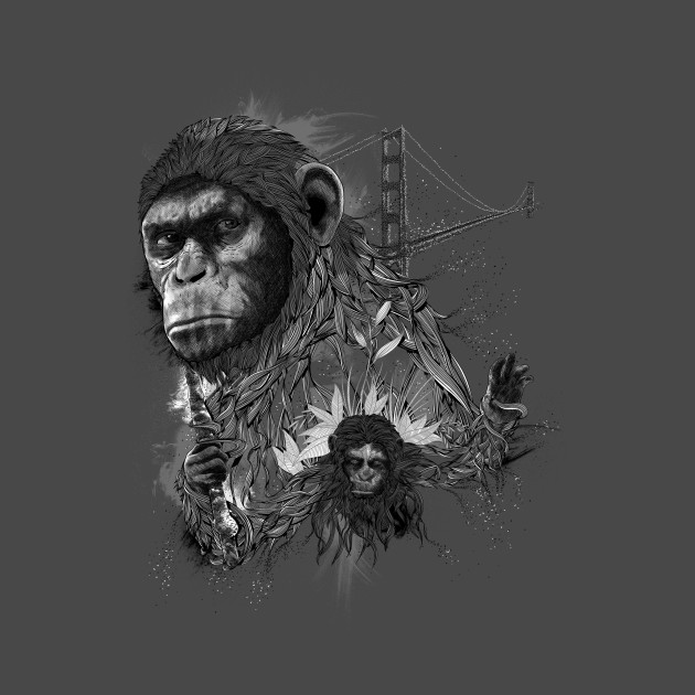 Caesar Design Caesar