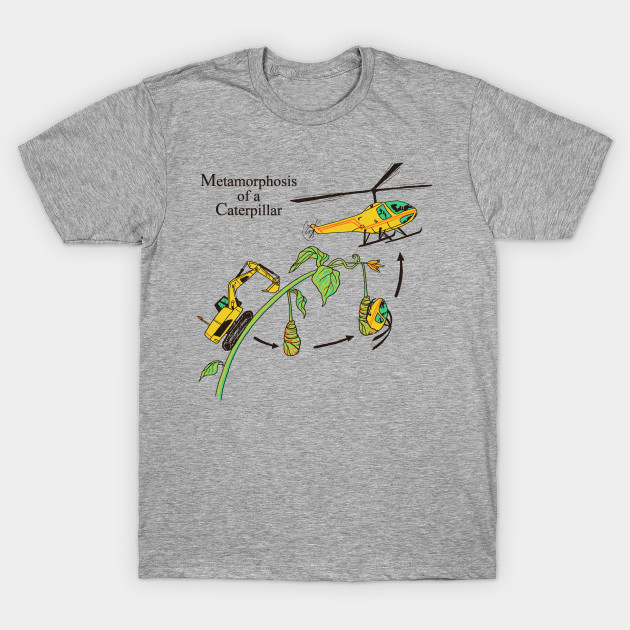 Metamorphosis of a Caterpillar