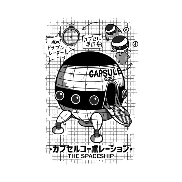 Capsule Spaceship