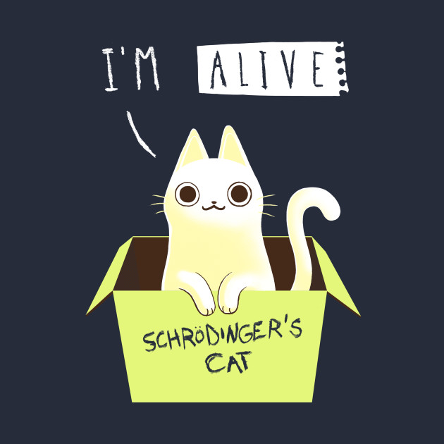 Schrödinger night