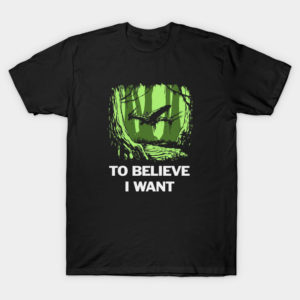 To believe I want