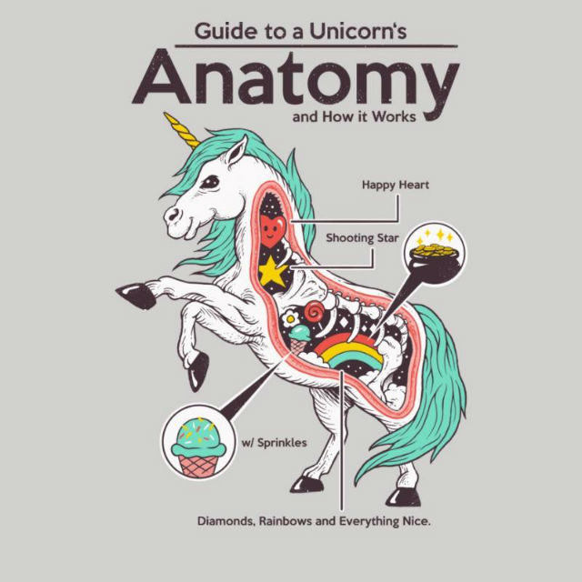 Anatomy of a Unicorn