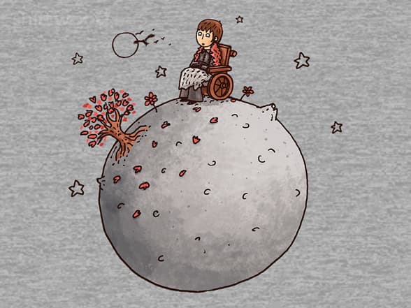 Little Prince in the North Little Prince in the North