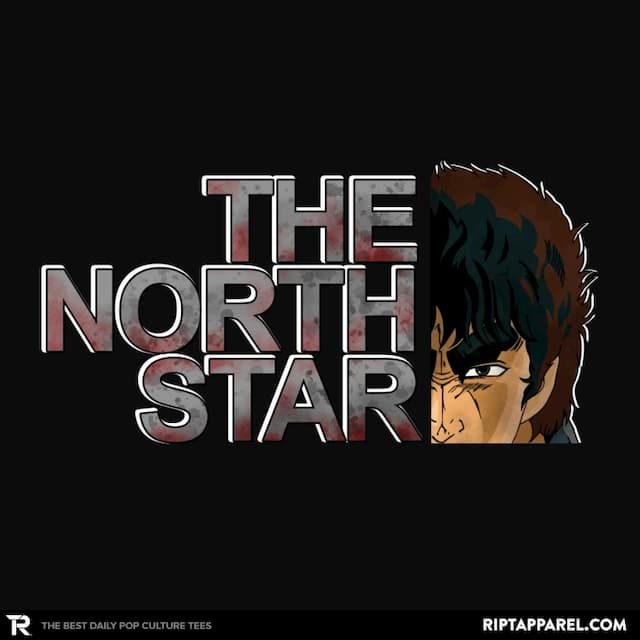 THE NORTH STAR The North Star