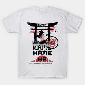 Kamehame School of Martial Arts