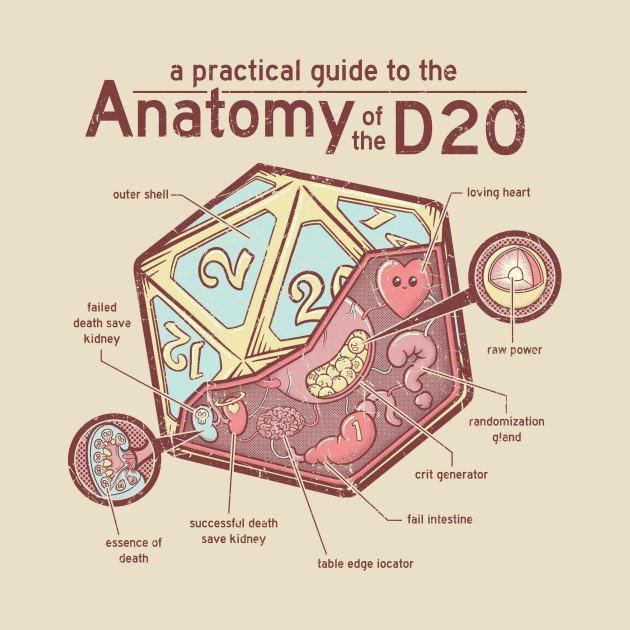 Anatomy of the D20