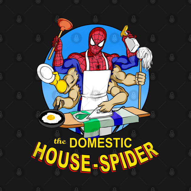 Domestic Spider