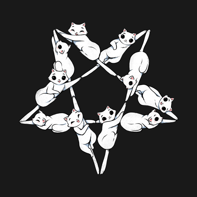 Where the cats go at night