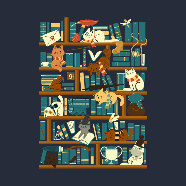 Library Magic School