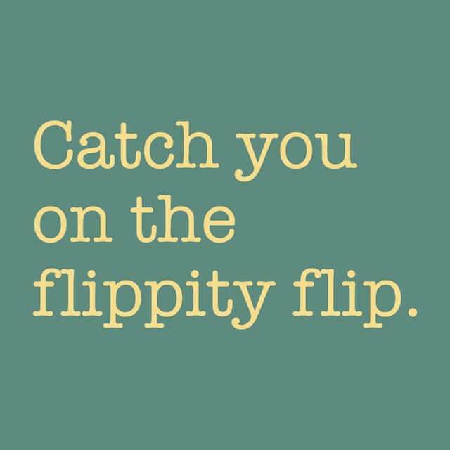 CATCH YOU ON THE FLIPPITY FLIP