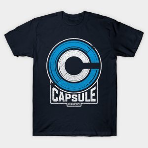 Capsule 2073