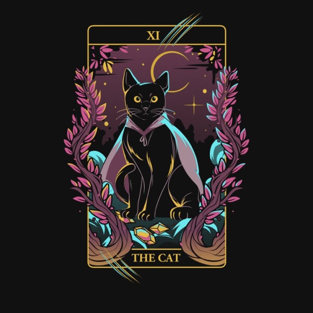 TAROT CAT